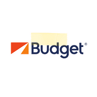 logo budget