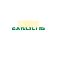 logo carlili