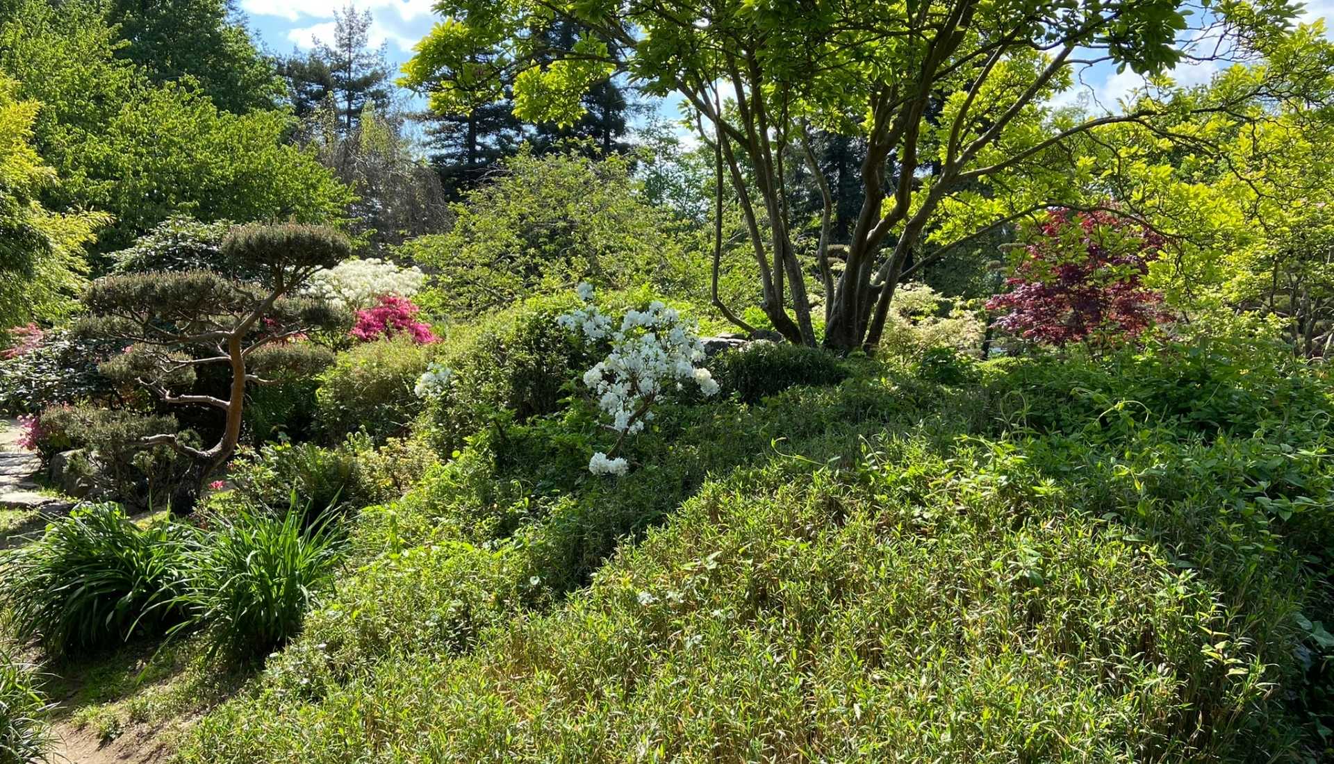 jardin japonnais de nantes