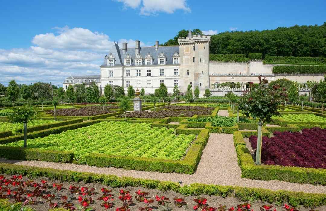 visiter le chateau de villandry