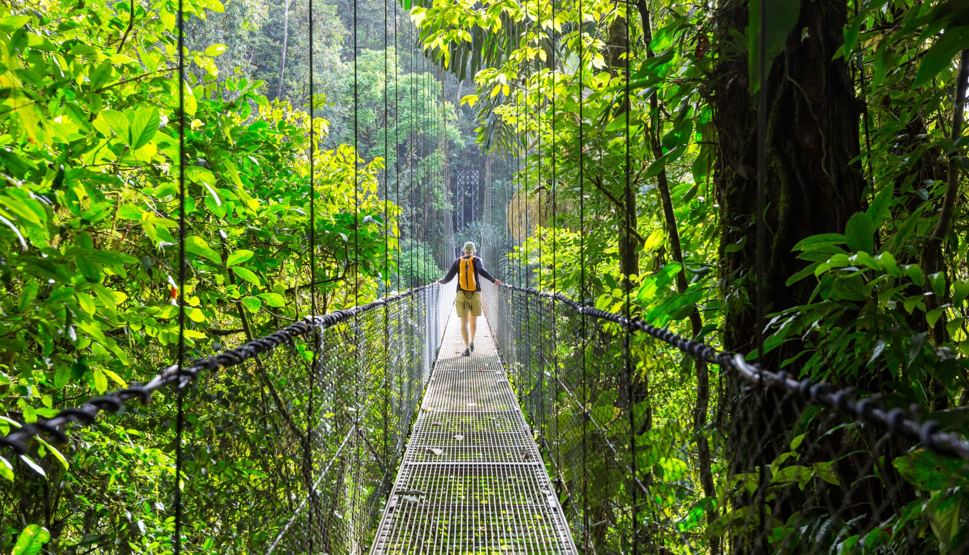 louer une voiture au costa rica pour aller dans la jungle