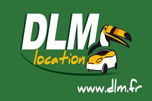 DLM